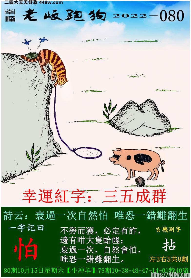 9.jpg