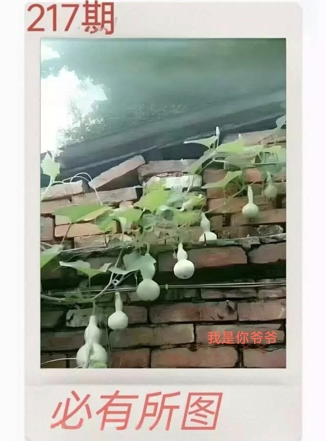 1000060386.jpg