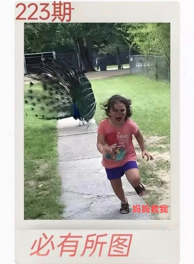1000060969.jpg