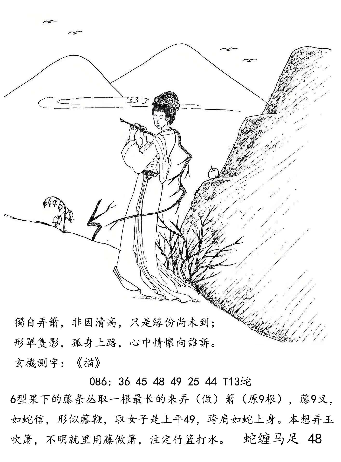 087老狗.jpeg
