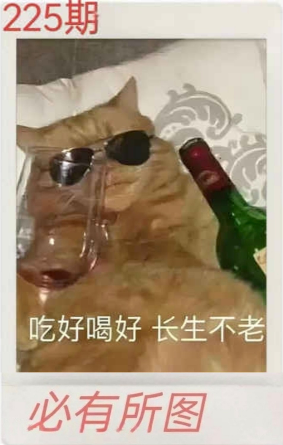 1000061790.jpg