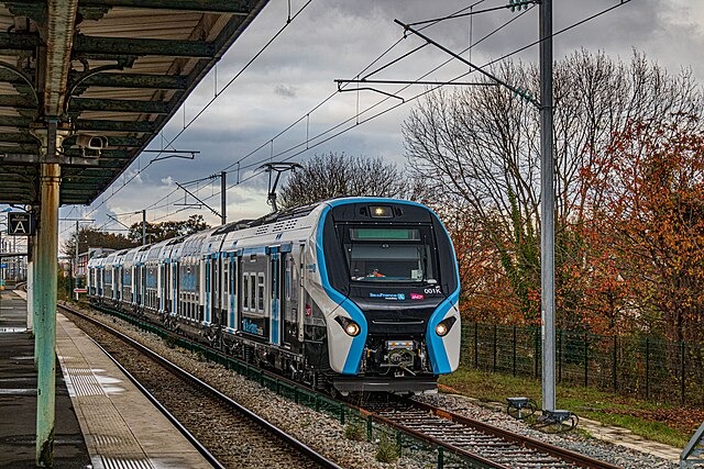 1000093400.jpg