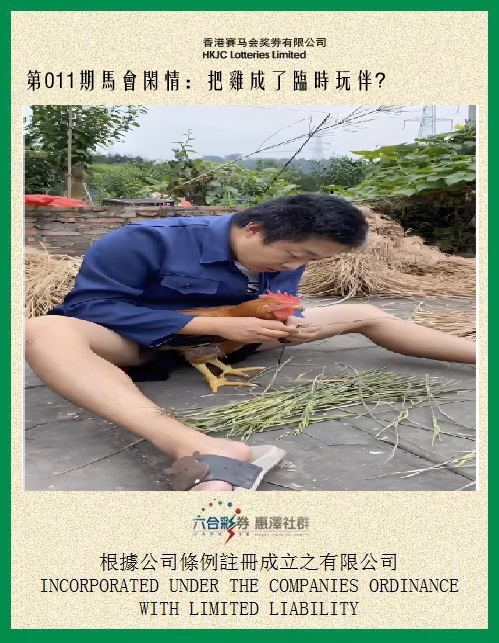 0.jpg