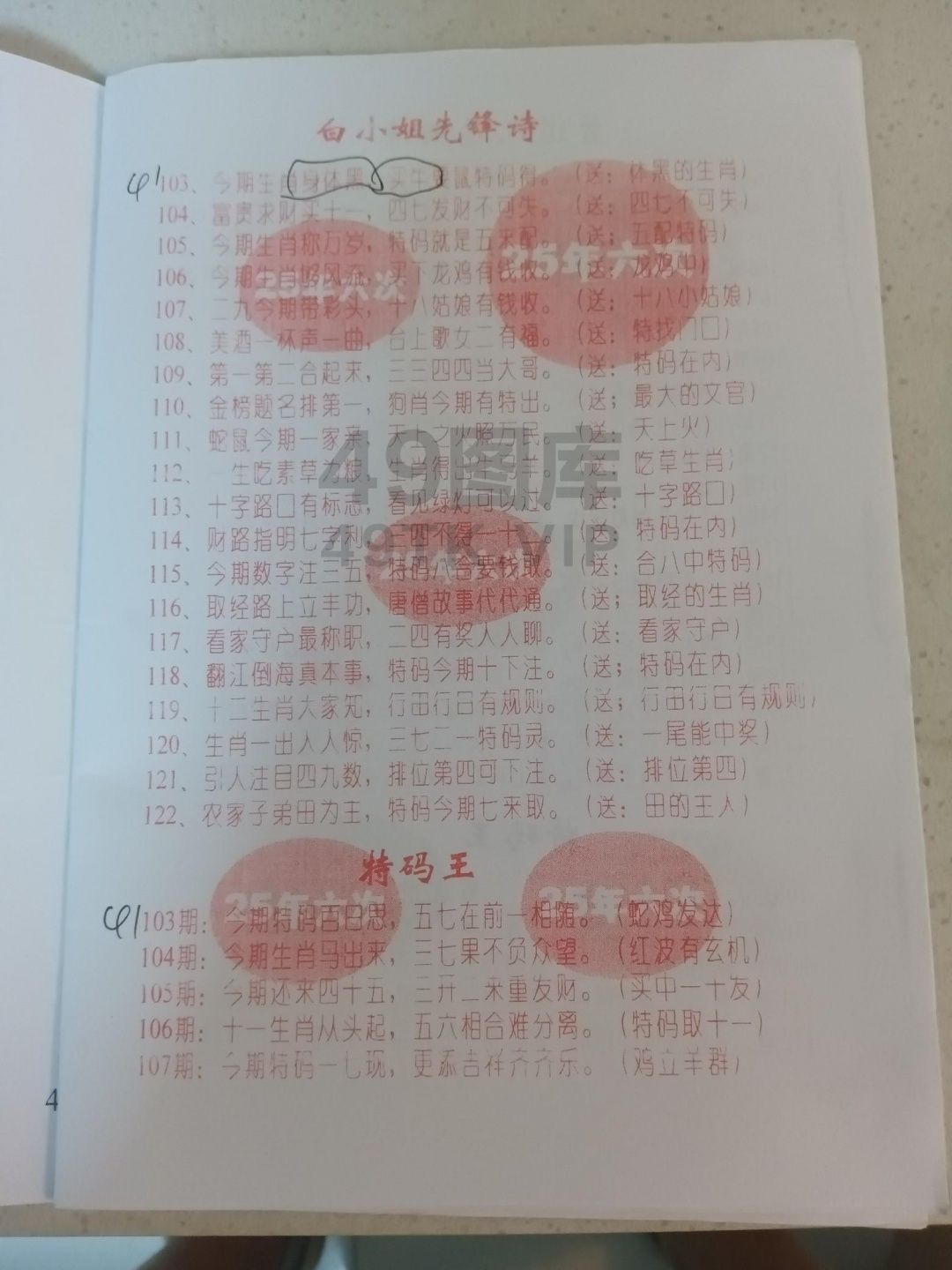 先锋＋特码王.png