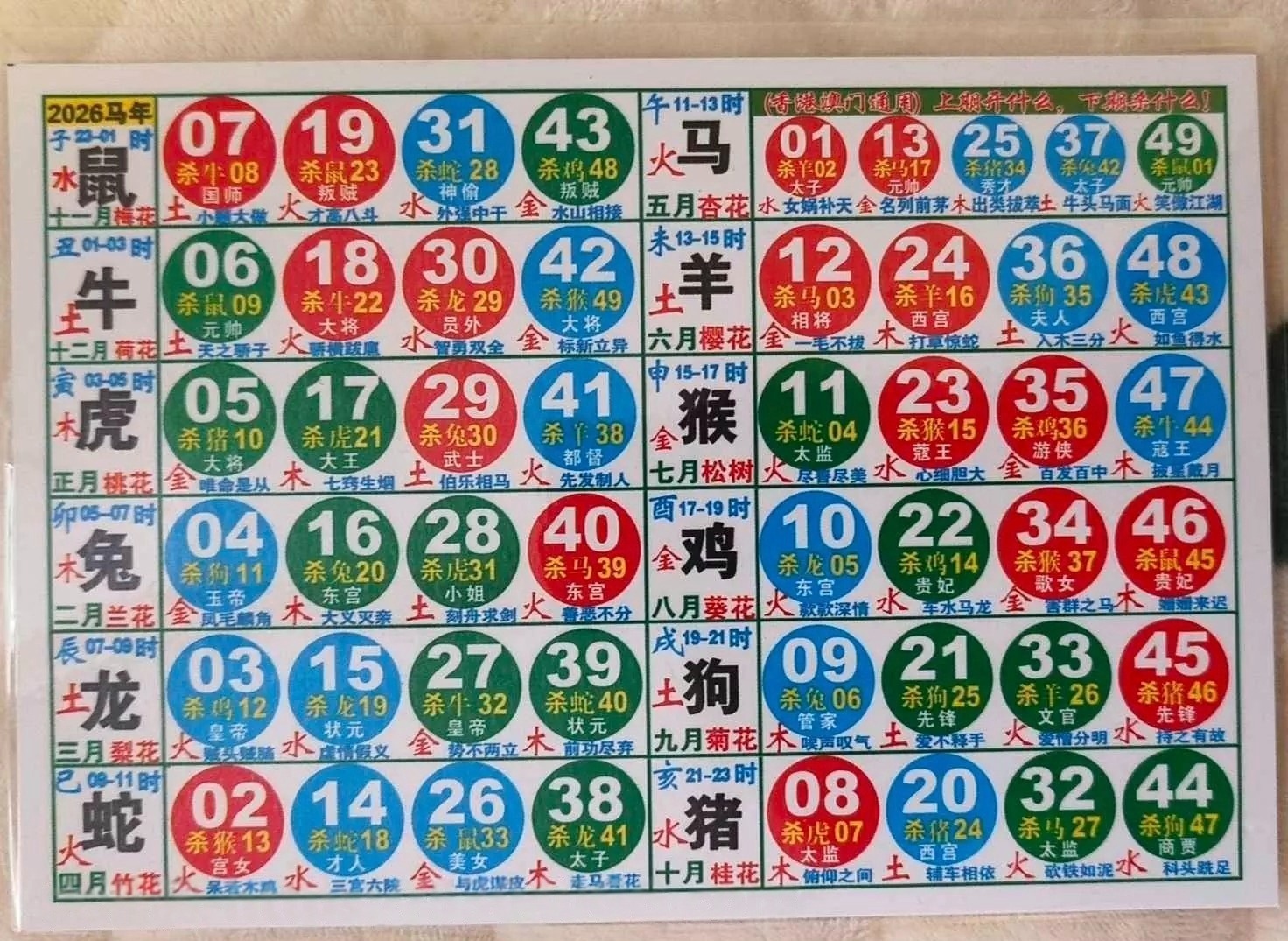 1000075754.jpg